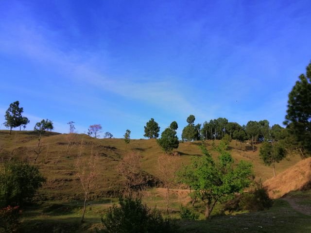 ddf02d850029c04e0f2f9428f2bbb790