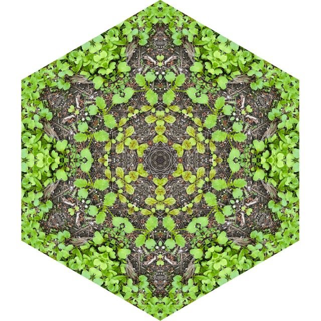 e7ca84d6c6c0a2c36d008e43dcf0b11b