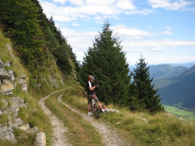 fc7e4685a76561049526997ea426438e