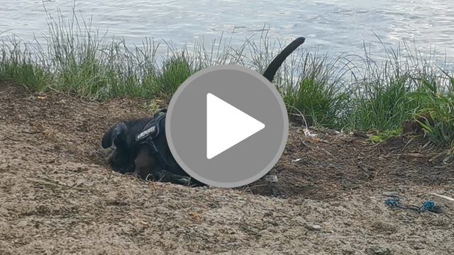 videos/23621e1ac02ddc4bf53512f3085b5e8b-00001.png