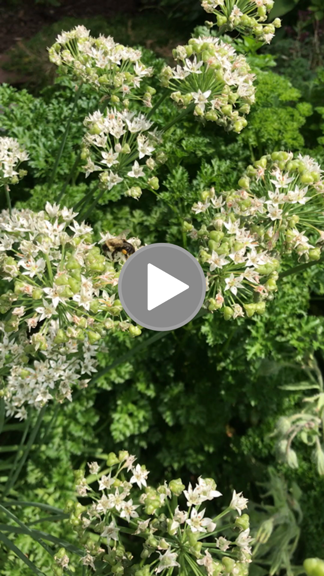videos/48bd5ad6130734a8a5b50839be33c348-00001.png