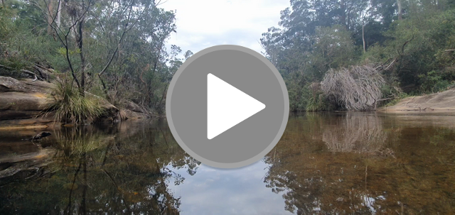 videos/56622135189dc7529c9e03371a0310eb-00001.png