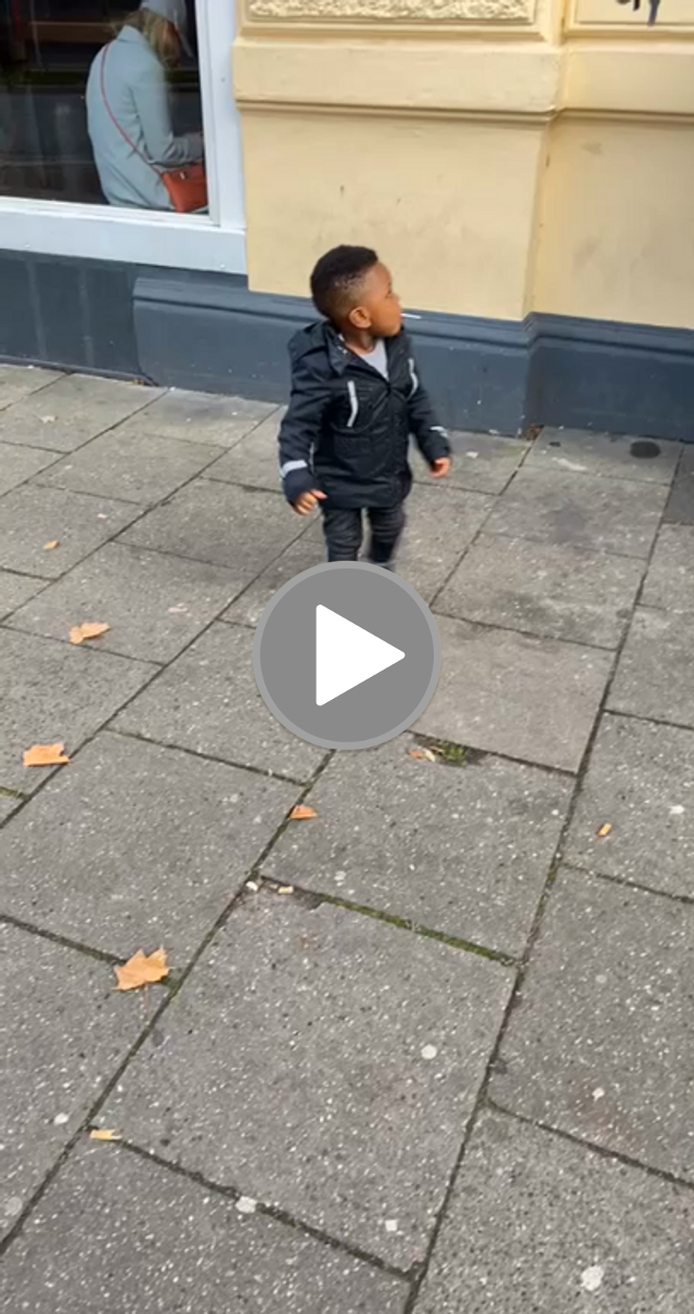 videos/bf1295a88e41b5096e16c76d4afee24e-00001.png