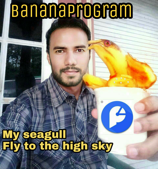 https://s3.us-east-2.amazonaws.com/partiko.io/img/aiyub99-banana-program-week-3-by-stellabellevelyvn1o-1535390523312.png
