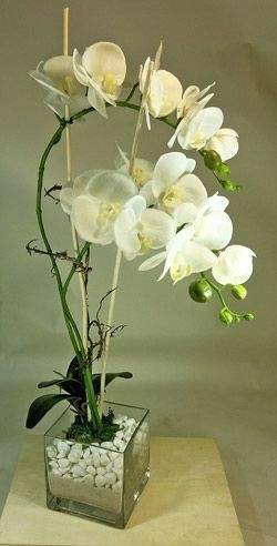 https://s3.us-east-2.amazonaws.com/partiko.io/img/basharat345-beautiful-flowers-1531013119574.png