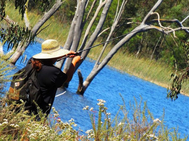 https://s3.us-east-2.amazonaws.com/partiko.io/img/chuasyi73-land-fisherman-1534219277820.png