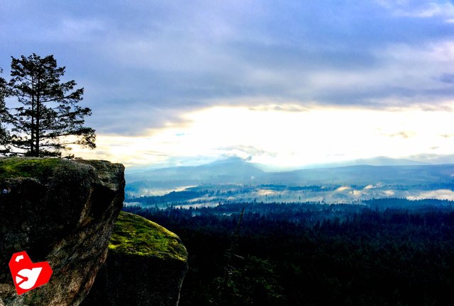 https://s3.us-east-2.amazonaws.com/partiko.io/img/d00k13-feeling-like-cliffhanger-thinking-why-are-humans-destructive--little-mountain-british-columbia-canada-uleeqtgl-1544295633845.png