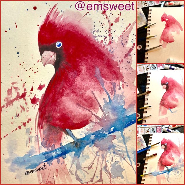 https://s3.us-east-2.amazonaws.com/partiko.io/img/emsweet-step-by-step-process-of-cardinal-watercolor-painting-1532988088559.png