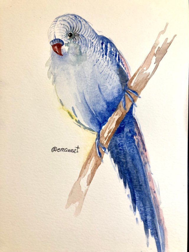 https://s3.us-east-2.amazonaws.com/partiko.io/img/emsweet-watercolor-painting-of-a-parrot-1534124348189.png