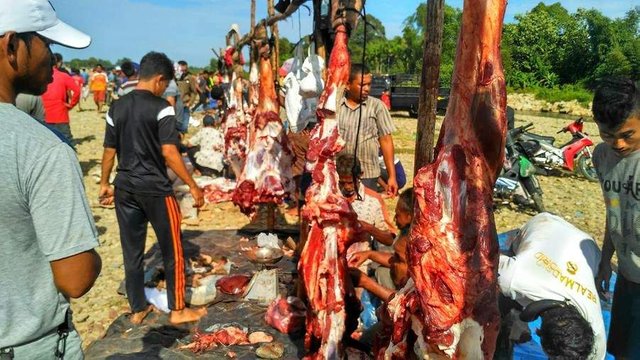 https://s3.us-east-2.amazonaws.com/partiko.io/img/fadhilaceh-meugang-the-tradition-of-eating-meat-3-times-a-yeardyurkejy-1534831623580.png