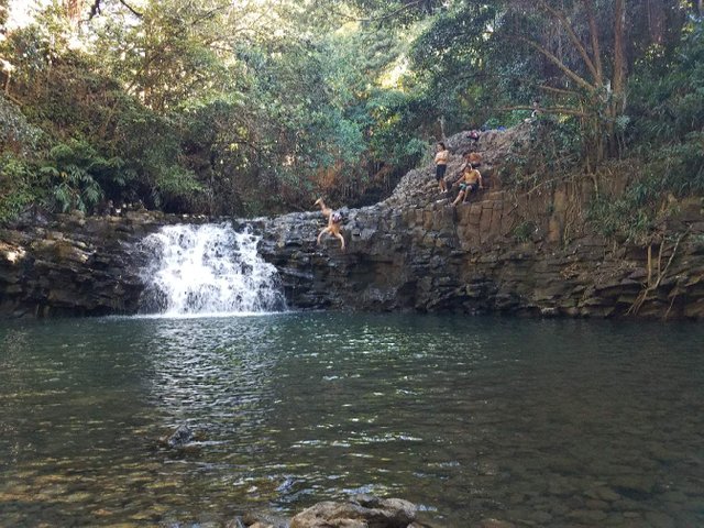 https://s3.us-east-2.amazonaws.com/partiko.io/img/happymoneyman-waterfall--jungle-pool-1529872124008.png