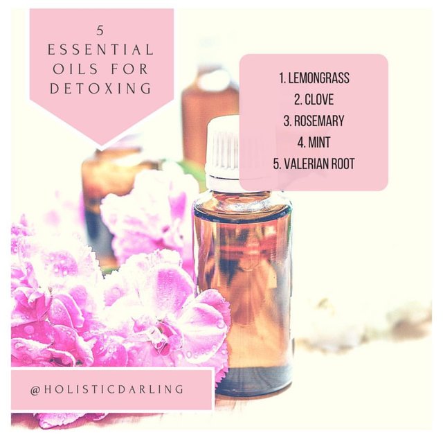 https://s3.us-east-2.amazonaws.com/partiko.io/img/holisticdarling-selfcare-series-1-my-top-essential-oils-for-detoxing-1534164481873.png