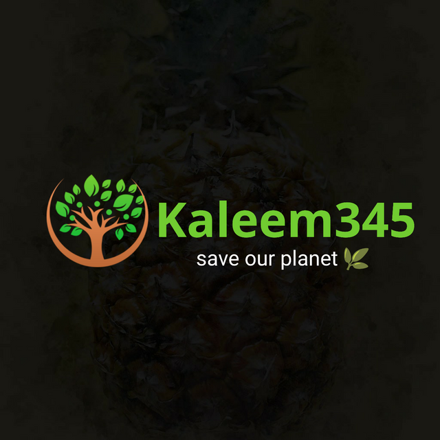 https://s3.us-east-2.amazonaws.com/partiko.io/img/kaleem345-save-our-planet-aqqkbeoj-1536578491412.png