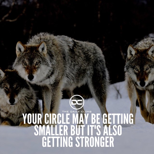 https://s3.us-east-2.amazonaws.com/partiko.io/img/kenmelendez-your-inner-circle-determines-your-outer-reality-1531104097068.png