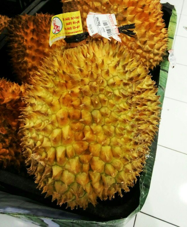https://s3.us-east-2.amazonaws.com/partiko.io/img/mujasteem-eat-durian-whos-afraid-1531481414546.png