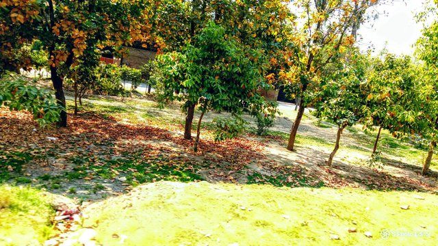 https://s3.us-east-2.amazonaws.com/partiko.io/img/newwork-my-city-road-beautiful-autumn-natural-garden-photography-1533181078715.png