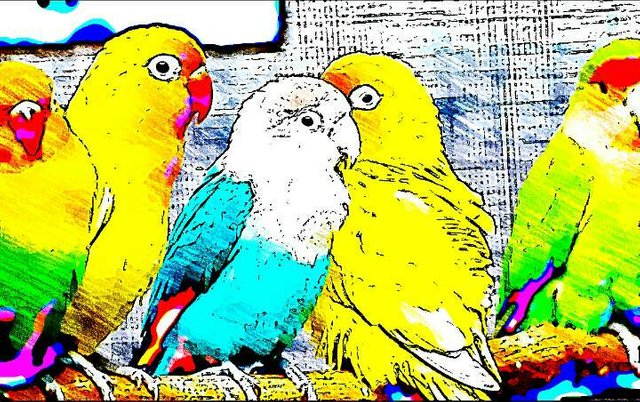 https://s3.us-east-2.amazonaws.com/partiko.io/img/newwork-very-nice-colourful--birds-art-picture-1533922690042.png