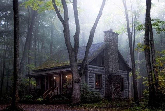 https://s3.us-east-2.amazonaws.com/partiko.io/img/offgridlife-an-amazing-cabin-in-the-woods-vn1mywyi-1536536625244.png
