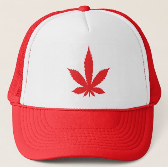 https://s3.us-east-2.amazonaws.com/partiko.io/img/offgridlife-my-ohcannabis-hat-for-canada-day-this-summer-qvtezkud-1540474807364.png