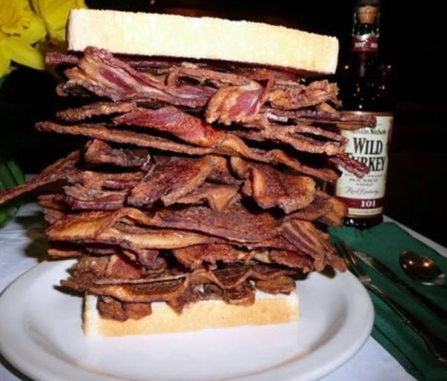 https://s3.us-east-2.amazonaws.com/partiko.io/img/offgridlife-my-steemitsandwich-needs-more-bacon-fishfood-x0iaujs1-1537023851197.png