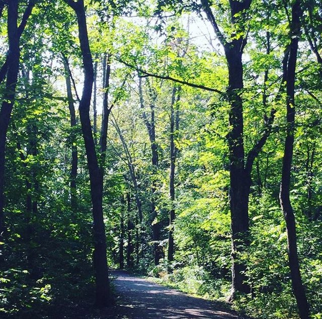 https://s3.us-east-2.amazonaws.com/partiko.io/img/offgridlife-photography-bike-ride-along-the-rideau-river-2ct9iezq-1537709732638.png