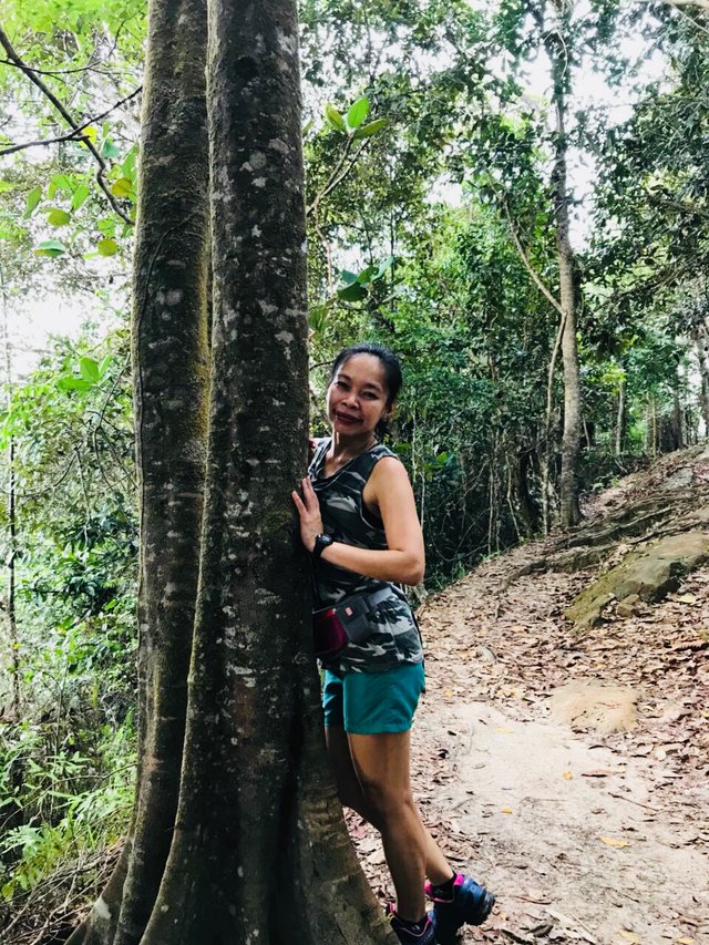 https://s3.us-east-2.amazonaws.com/partiko.io/img/patchi02-hiking--an-stress-reliever-5chr3xqn-1537413868581.png