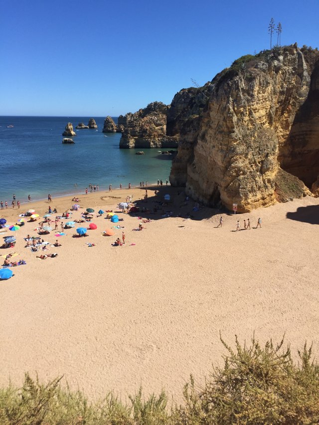 https://s3.us-east-2.amazonaws.com/partiko.io/img/pg-live-pt-algarve--portugal-so0aeli2-1544007779221.png