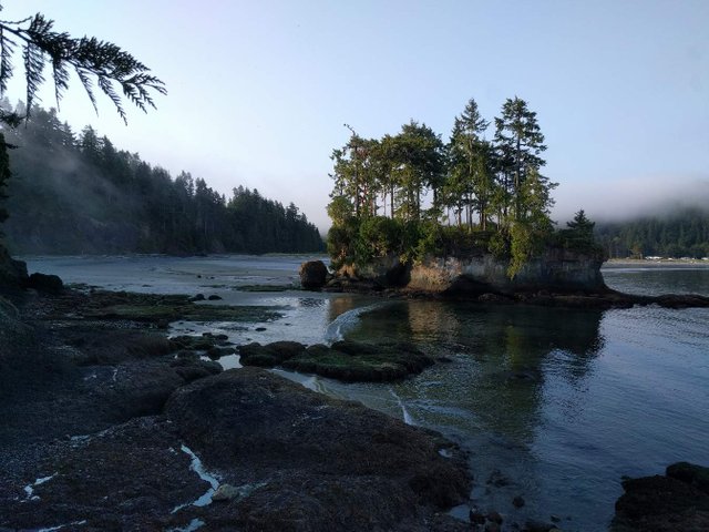 https://s3.us-east-2.amazonaws.com/partiko.io/img/protogeek-low-tide-off-salt-creek-washington-kiikdnto-1536298808060.png