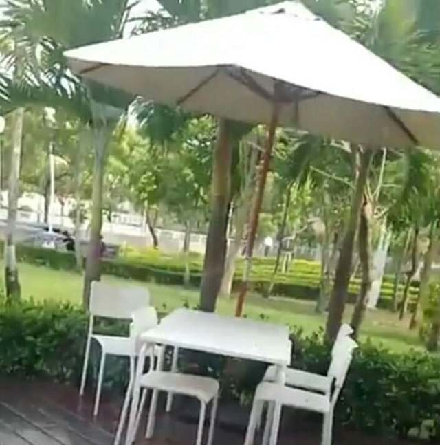 https://s3.us-east-2.amazonaws.com/partiko.io/img/safroel72-an-umbrella-table-in-the-gardenihwbusxk-1534432285504.png