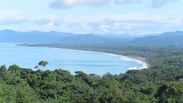 https://s3.us-east-2.amazonaws.com/partiko.io/img/sallybeth23-jungle-daily--costa-rican-coastline-1hkkc3ud-1536290382291.png