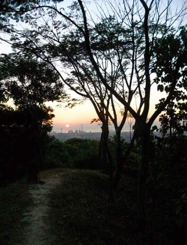 https://s3.us-east-2.amazonaws.com/partiko.io/img/shila-nature-2-1533044245067.png