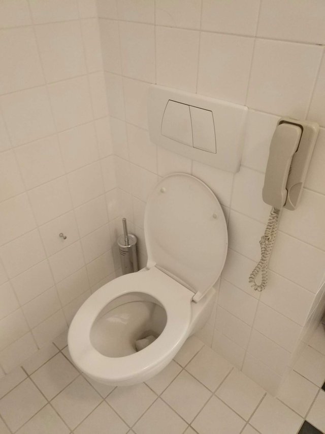 https://s3.us-east-2.amazonaws.com/partiko.io/img/siggiboy81-why-would-you-use-the-phone-next-to-the-toilet0roux5od-1535214794038.png