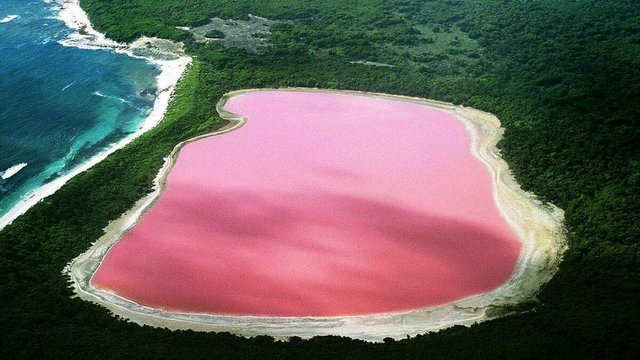 https://s3.us-east-2.amazonaws.com/partiko.io/img/steepphotos-pink-lake-1531973165212.png
