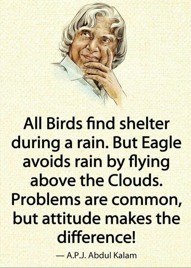 https://s3.us-east-2.amazonaws.com/partiko.io/img/syedmazharali-all-birds-find-shelter-during-a-rain-1530953225542.png