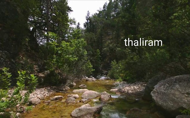 https://s3.us-east-2.amazonaws.com/partiko.io/img/thaliram-small--river-in-the-forest-gn0n2wsb-1536600494984.png