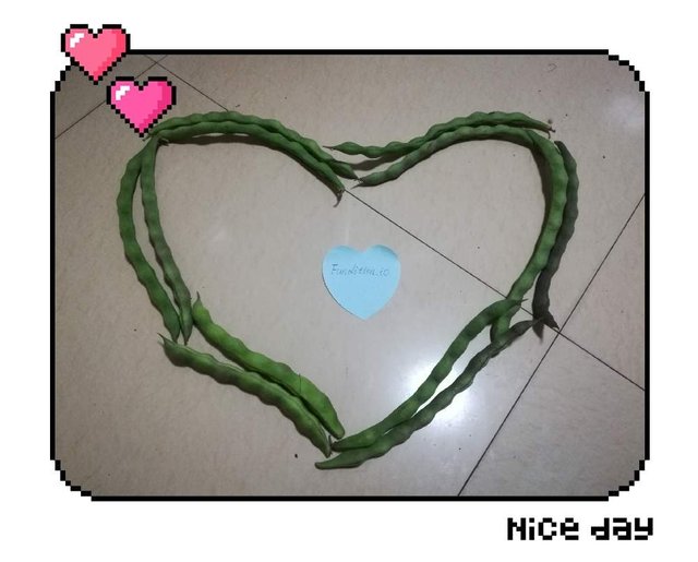 https://s3.us-east-2.amazonaws.com/partiko.io/img/youandme-vegetable-heart-one-heart-for-funditon-1532537309709.png