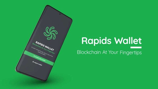 Rapids Network