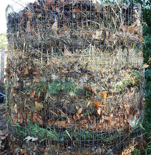 composting lazanya layers.jpg