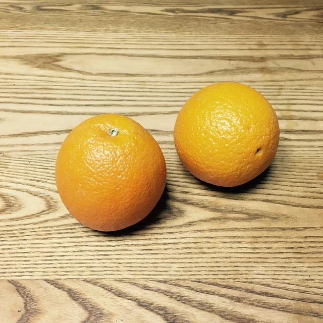 오렌지사진