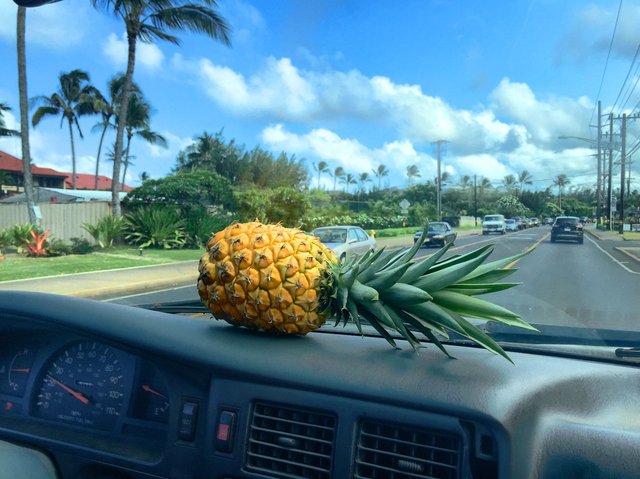 *Pineapple on my dashboard in Kauai*  