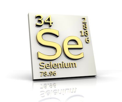 selenium-3358.jpg
