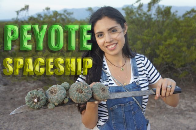 Peyote spaceship text, Joanna holding a machete with several peyote buttons on it
