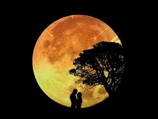 lovers_pair_moon_moonlight_romance_love_together_togetherness-63.jpg