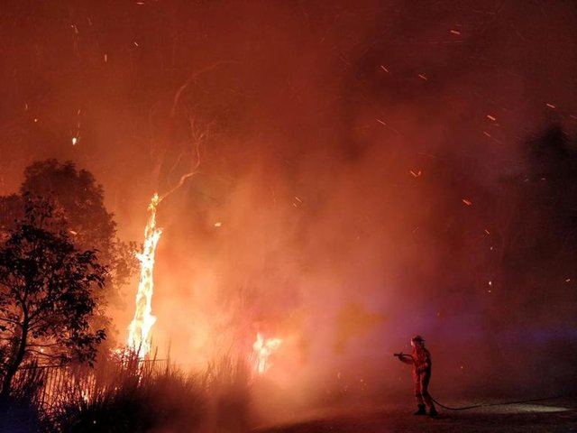 Firefighters battling a bushfire in Peregian Springs on the Sunshine Coast, Australia. AAP Image/John Park/via REUTERS