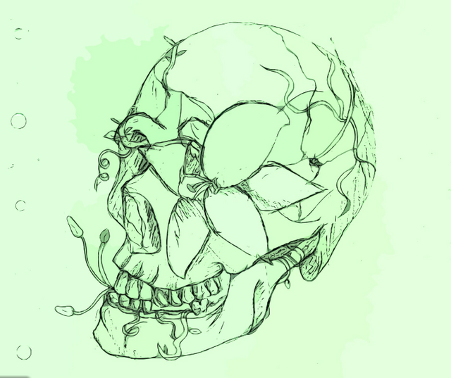 Aesthetic Green Skull — Steemit