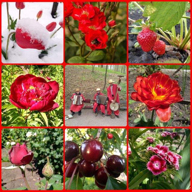 MyCollages_red.jpg