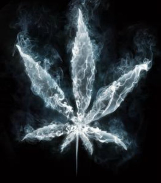marijuana-smokeRZ2.jpg