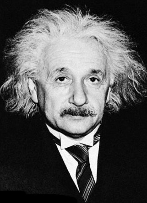 Einstein headshot RZ.jpg