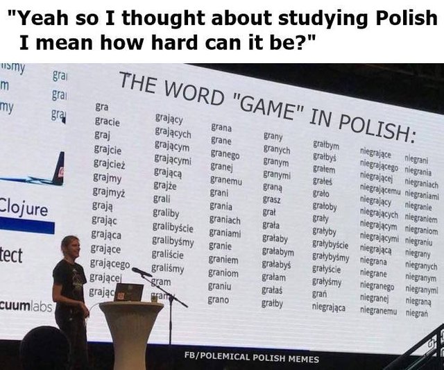 GAME-in-polish