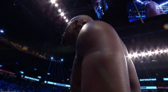 Mayweather_vs_Mcgregor_victory_climb_round_10_rz.jpg